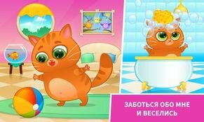 ���������� Bubbu ���� ����������� ������� �� ������� - �������� ������� 